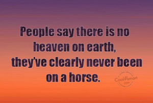 ... horse and rider quotes horse riding quotes horse riding quotes horse
