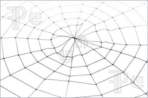 Spider Web Radar Star Graph