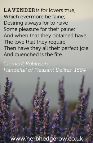 Lavender is for lovers true, Which evermore be faine; Desiring always ...