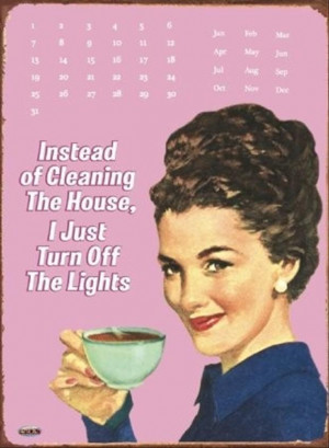 cleaning the house, funny quotes