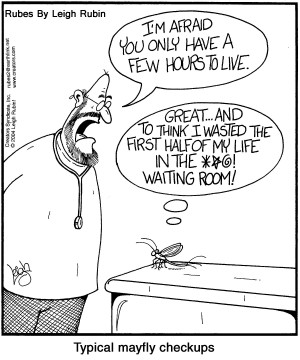 Displaying 16> Images For - Cumulative Sentence...