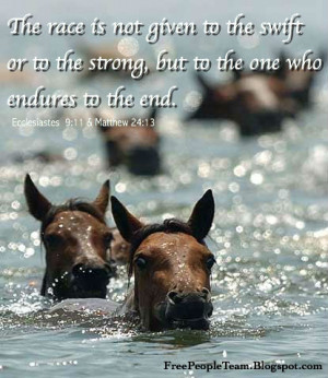 The race is not given to the swift or to the strong, but to the one ...