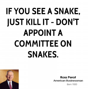 If you see a snake, just kill it - don't appoint a committee on snakes ...