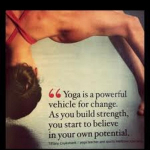 This quote doesn't sum up my entire feelings about the yogic system ...