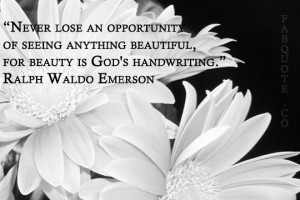 Never Lose An Opportunity Of Seeing Anything Beautiful - God Quote