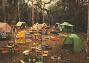 ... nature forest colorful sunny bonfire Woods campfire Camping camp tents