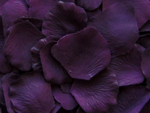 Rose Petals - Eggplant Purple Microfiber, wedding decorations, petals ...