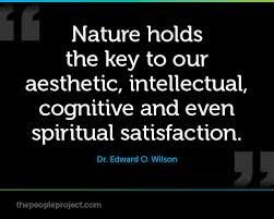 intellectual quotes - Google Search