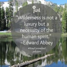 Wilderness is not a luxury but a necessity of the human spirit ...