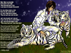 Tiger, Tiger - Kaname Kuran by blackened-wing