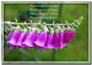 Spring is here. Inspiring quotes and beautiful flowers.