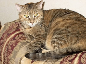 this text is two sizes larger than normal