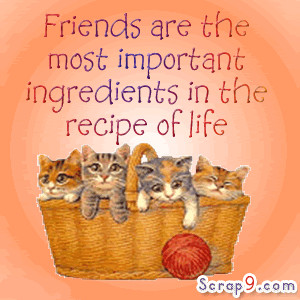... most Important Ingredients In the Recipe of Life ~ Friendship Quote