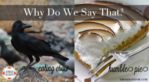 Humble Pie with a Side of Crow, Please ~ Suzanne Woods Fisher