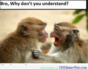 funny monkey, monkey are smart, monkey quote, smart quote