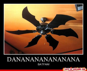 batfan, funny batman movie pictures