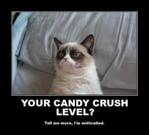 Grumpy Cat Quotes Frozen Grumpy Cat Quotes Frozen