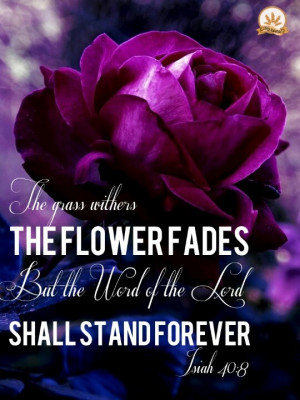 The grass withers, the flowers fade but the word of the Lord shall ...