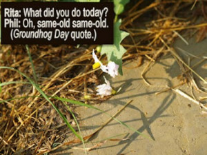 10 Reasons We Might Want a Musculoskeletal Ultrasound (MSUS) of a ...