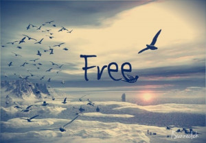 love photography pretty winter girl cute lights quote text happy party ...