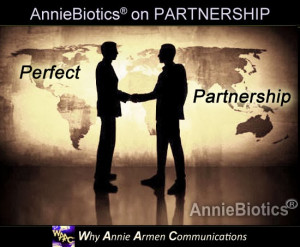 ... Definition of a Perfect Partnership in Business? | WhyAnnieArmen.com