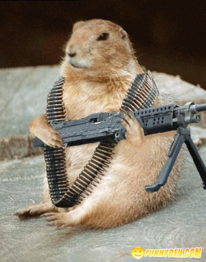 ... with Guns-Funny Soldier Squirrels waiting for some enemies attack