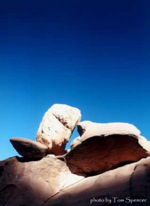 The soul cannot thrive in the absence of a garden.