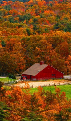 ... Autumn Fall, Farms, Beautiful, Autumn Orange, Autumn Colors, Red Barns
