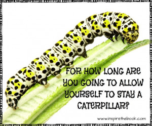 For how long are you going to allow yourself to stay a caterpillar? # ...