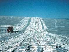 Courtesy of U.S. Fish and Wildlife Service