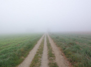 Kwanzaa Quotes Follow Order