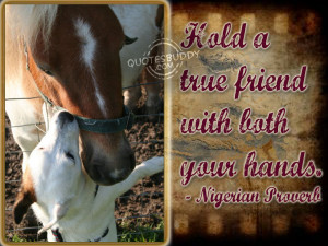 HTML Embed Code for Myspace, Hi5, Tagged, Friendster: