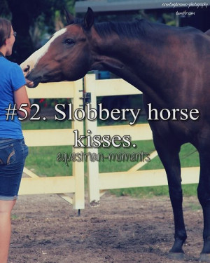 ... Quotes, Hors Quotes Tumblr, Equestrian Problems, Equine Moments, Hors