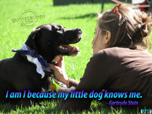Dogs-Quotes-Graphics-3