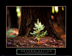 Determination: It is the size of one’s will which determines success ...