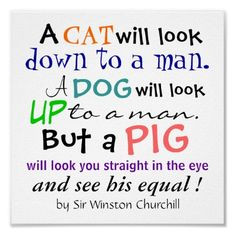 PIG Quote by Sir Winston Churchill