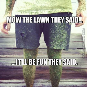 Mow the lawn they said...