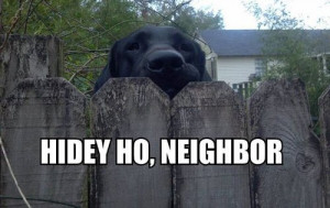 neighbor funny pictures