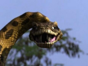 Film Anaconda 4 Trail Of Blood