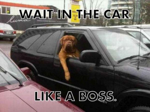 Like A Boss II