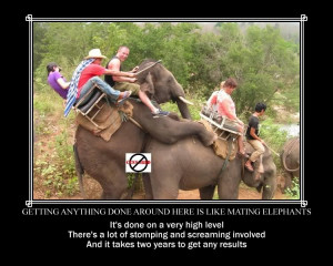 Elephant Motivational Poster