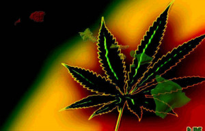 wallpaper title jamaican weed leaf by sirpuffalot 30 09 2013 jamaican ...