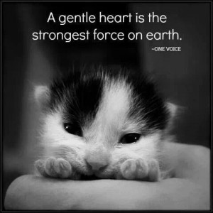 Gentle heart