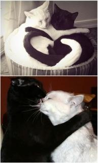 Found on s3.amazonaws.com