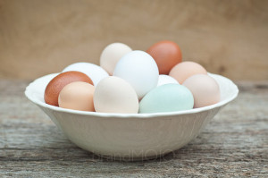 ... tan beige white sage soft pink spring - Farm fresh eggs - fine art