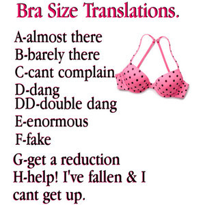 How to Measure Your Correct Bra Size