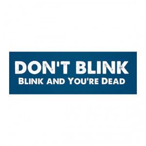 Vinyl Bumper Sticker / Don't Blink / Doctor Who Quote Weeping Angels ...