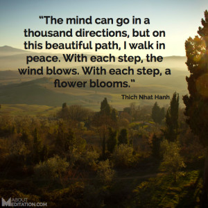 pick up your picture quote ebook here why meditation quotes