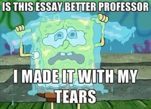 Essay Meme