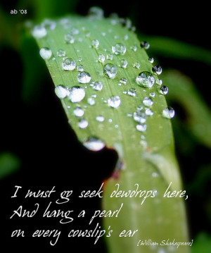 ... here, And hang a pearl in every cowslip's ear. - William Shakespeare